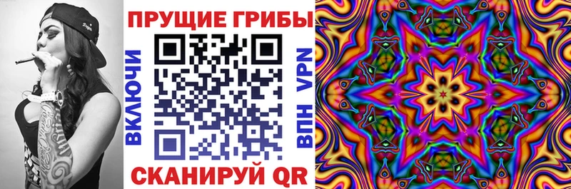 Купить закладки  Белебей  Галлюциногенные грибы Psilocybe 